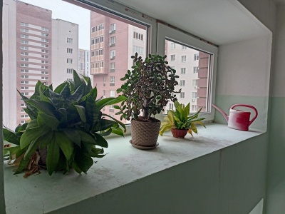 Двор пр. Музрукова 37, г. Саров - 09.jpg